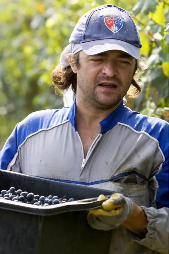 Mauro Pavia
