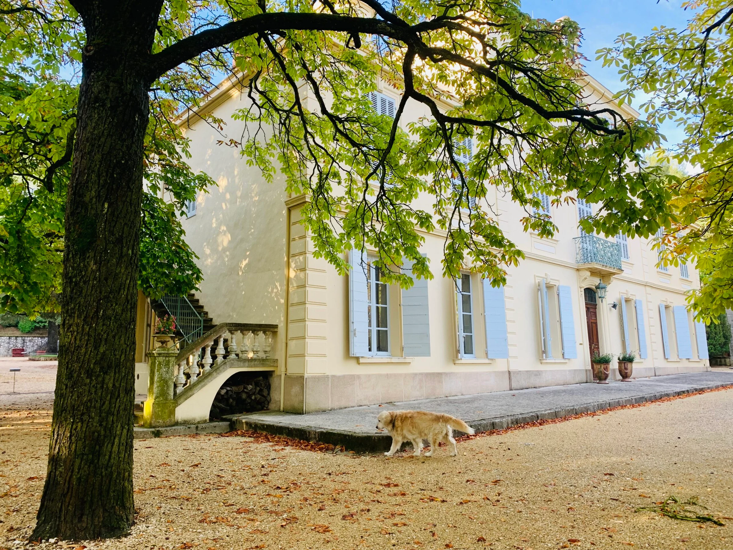 Château Simone