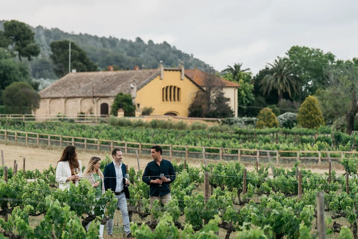 Bodegas Torres