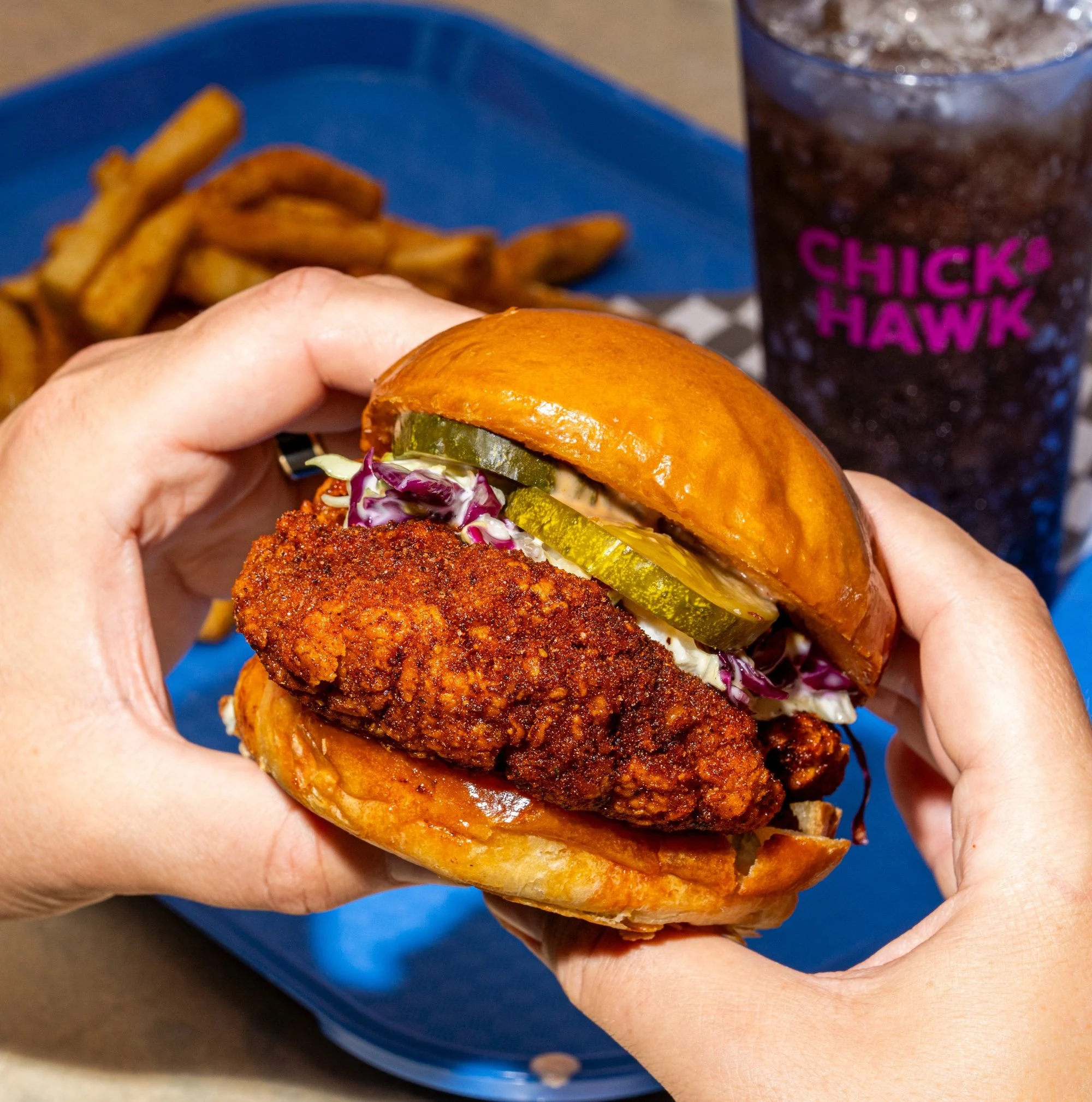 Chick & Hawk