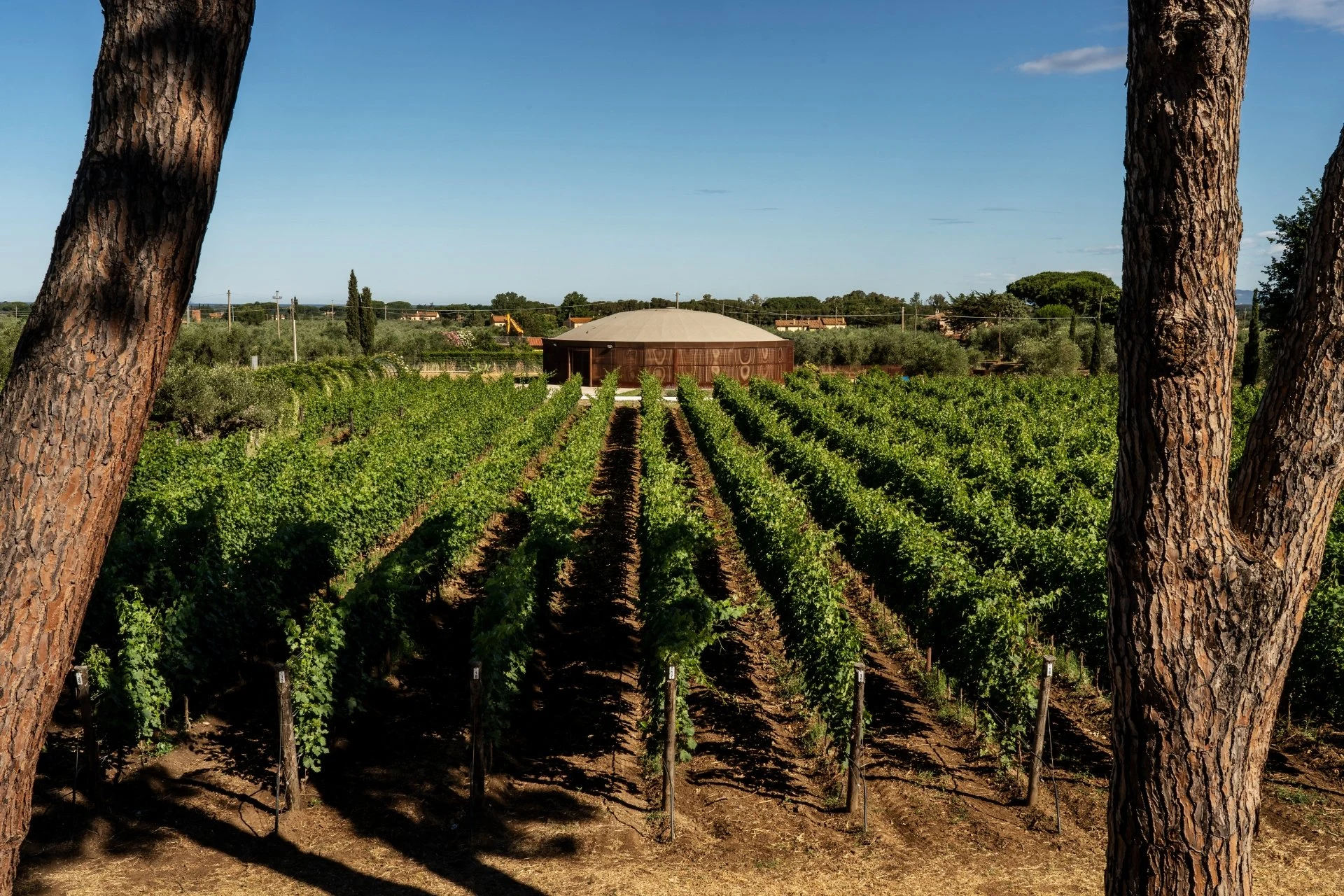 Campo alle Comete