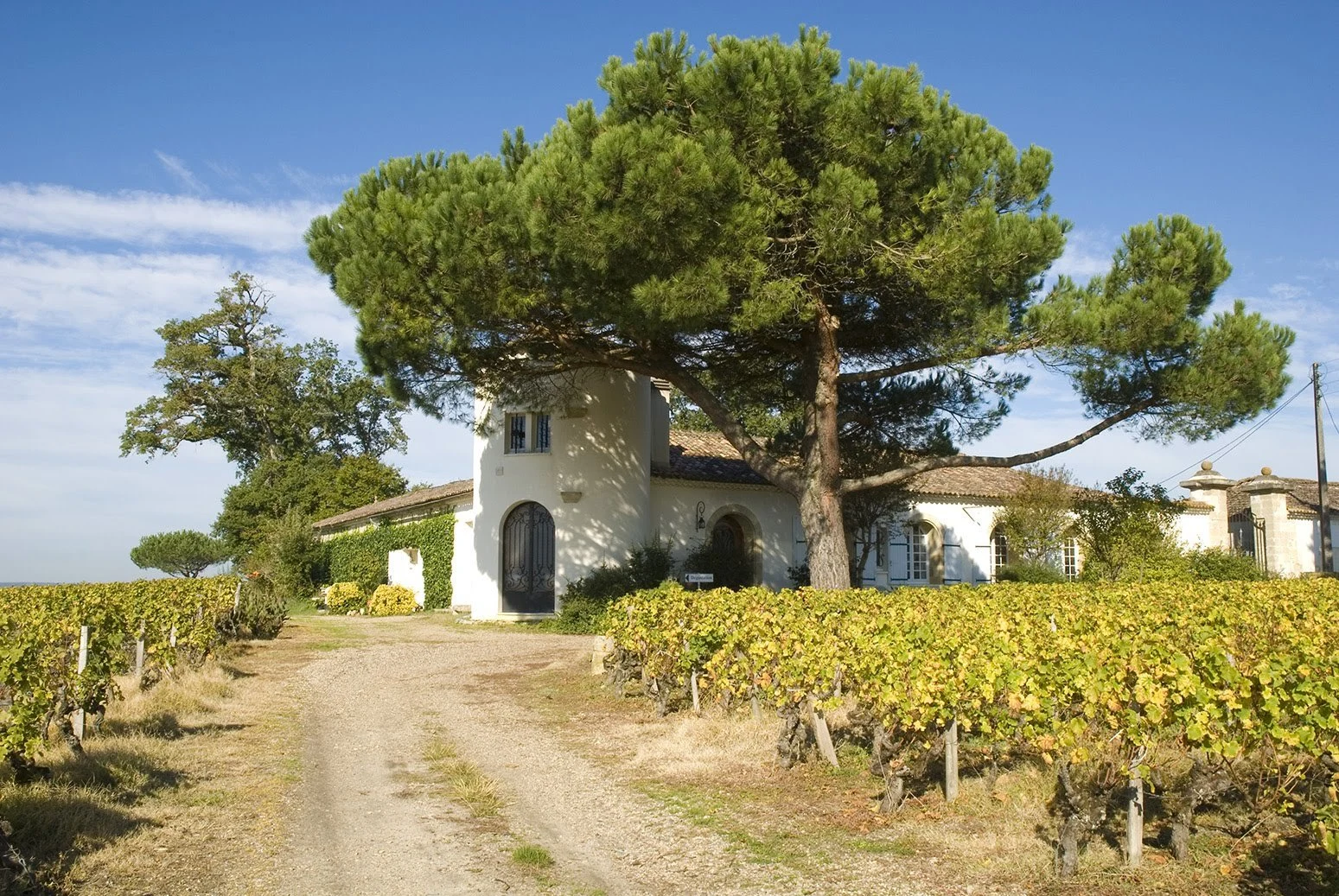 Château Lamothe-Despujols