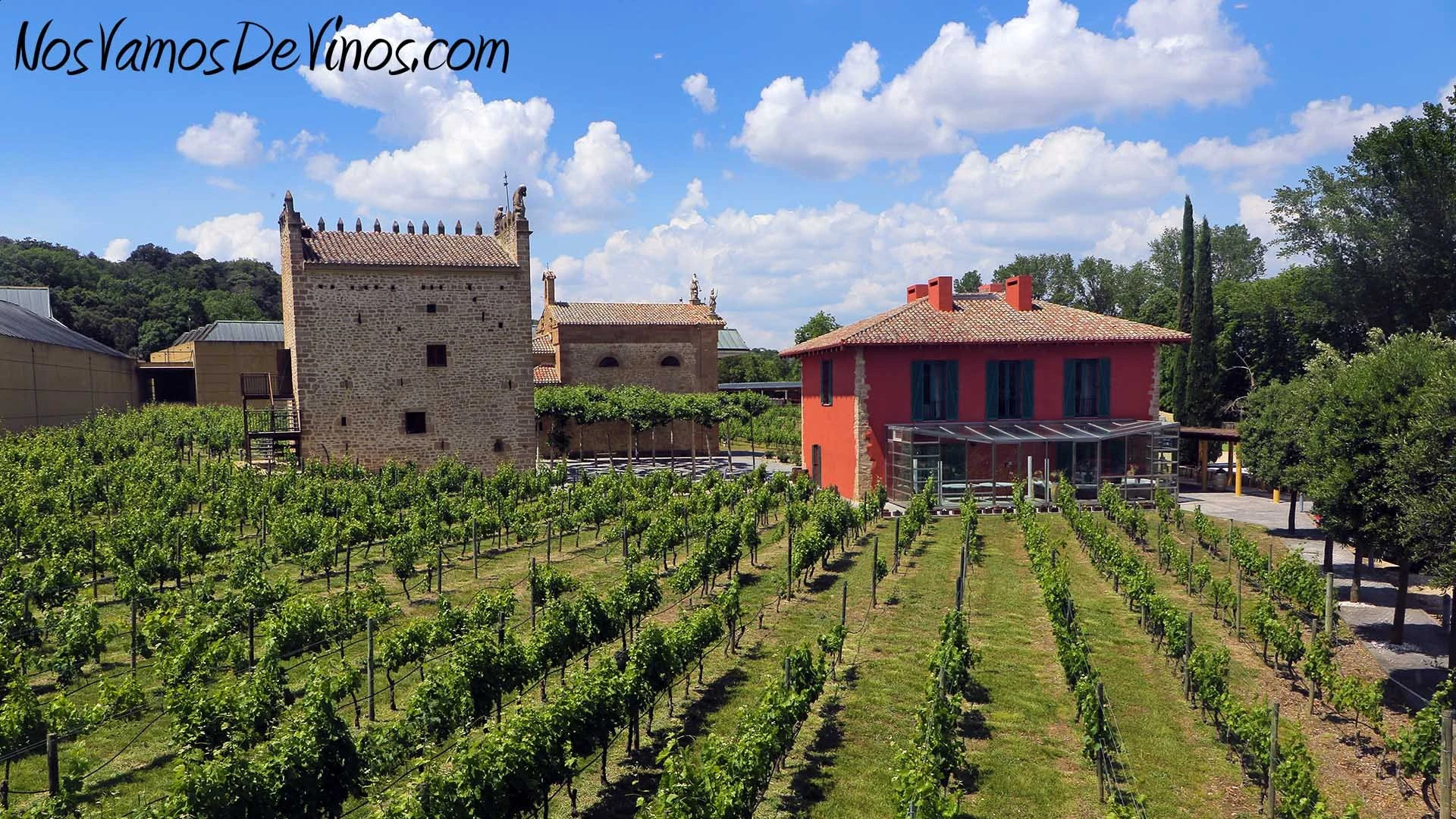 Bodegas Virgen De La Asunción