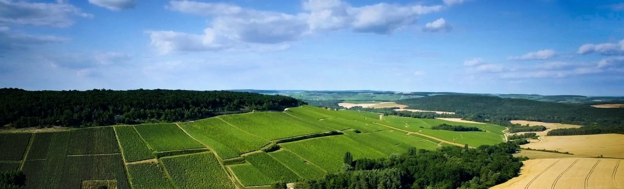 Chanoine Frères