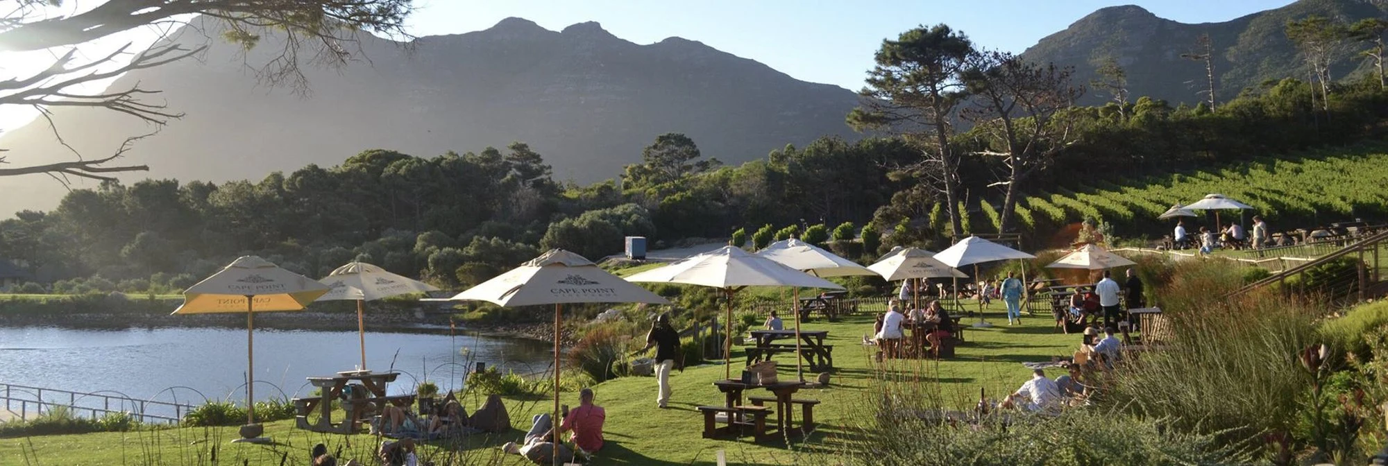 Cape Point Vineyards