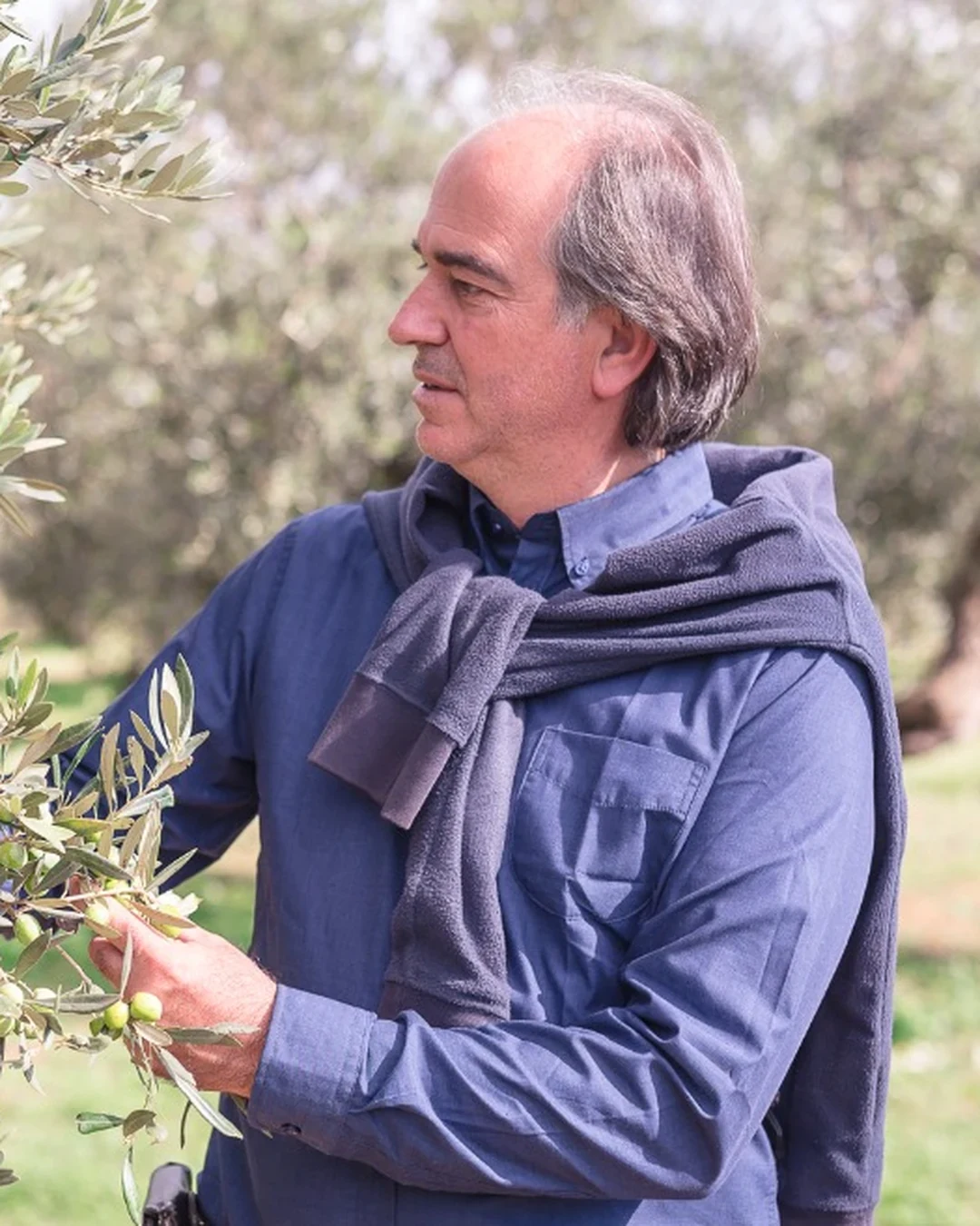 Francesco Lombardo