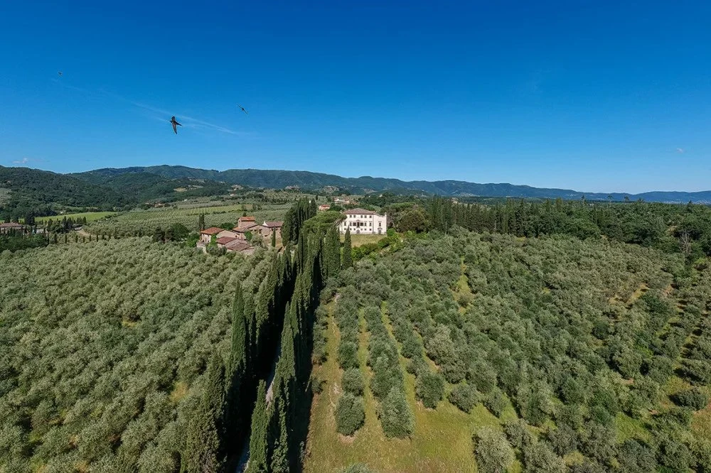 Tenuta San Jacopo