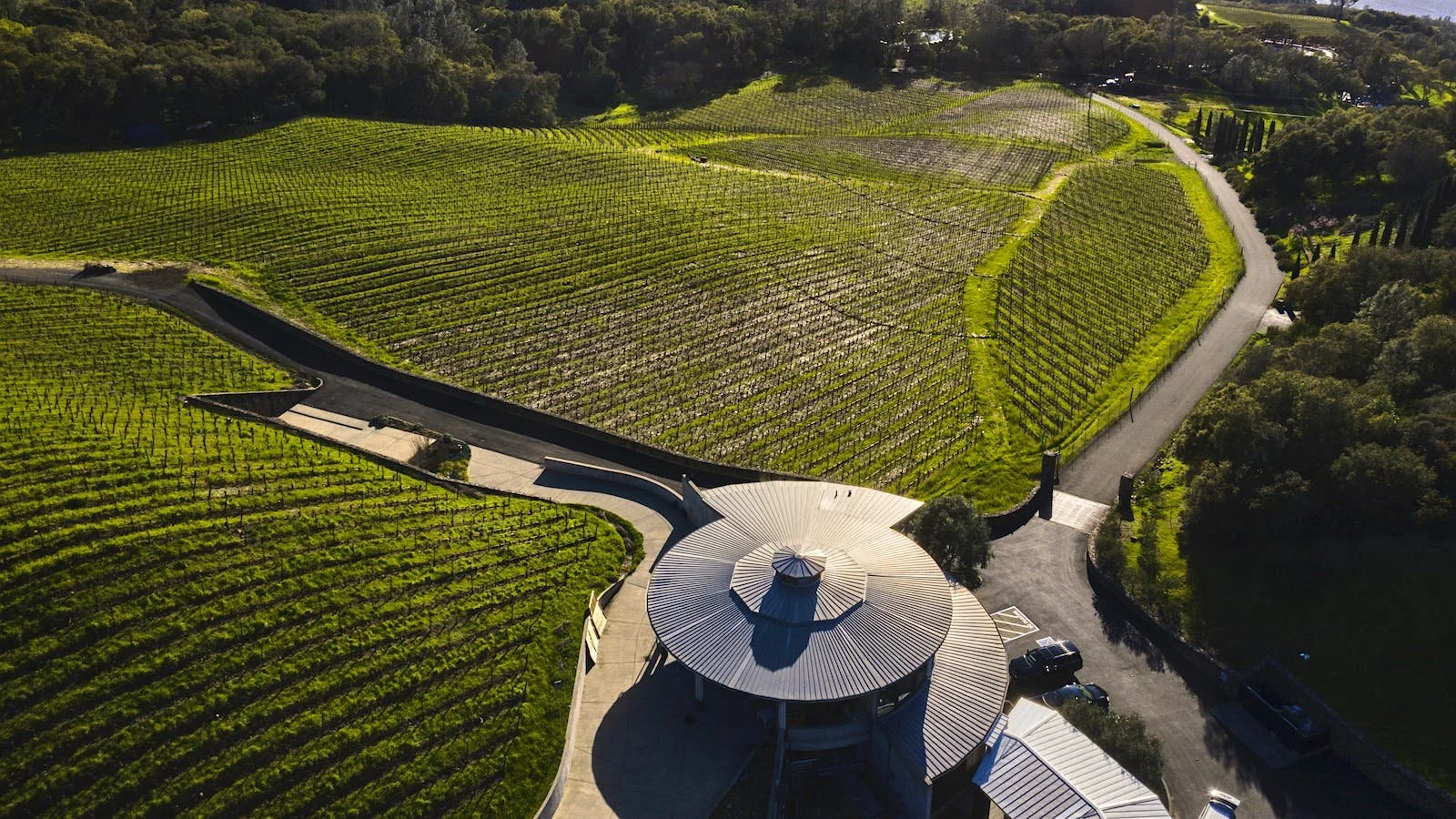 Bryant Family Vineyard