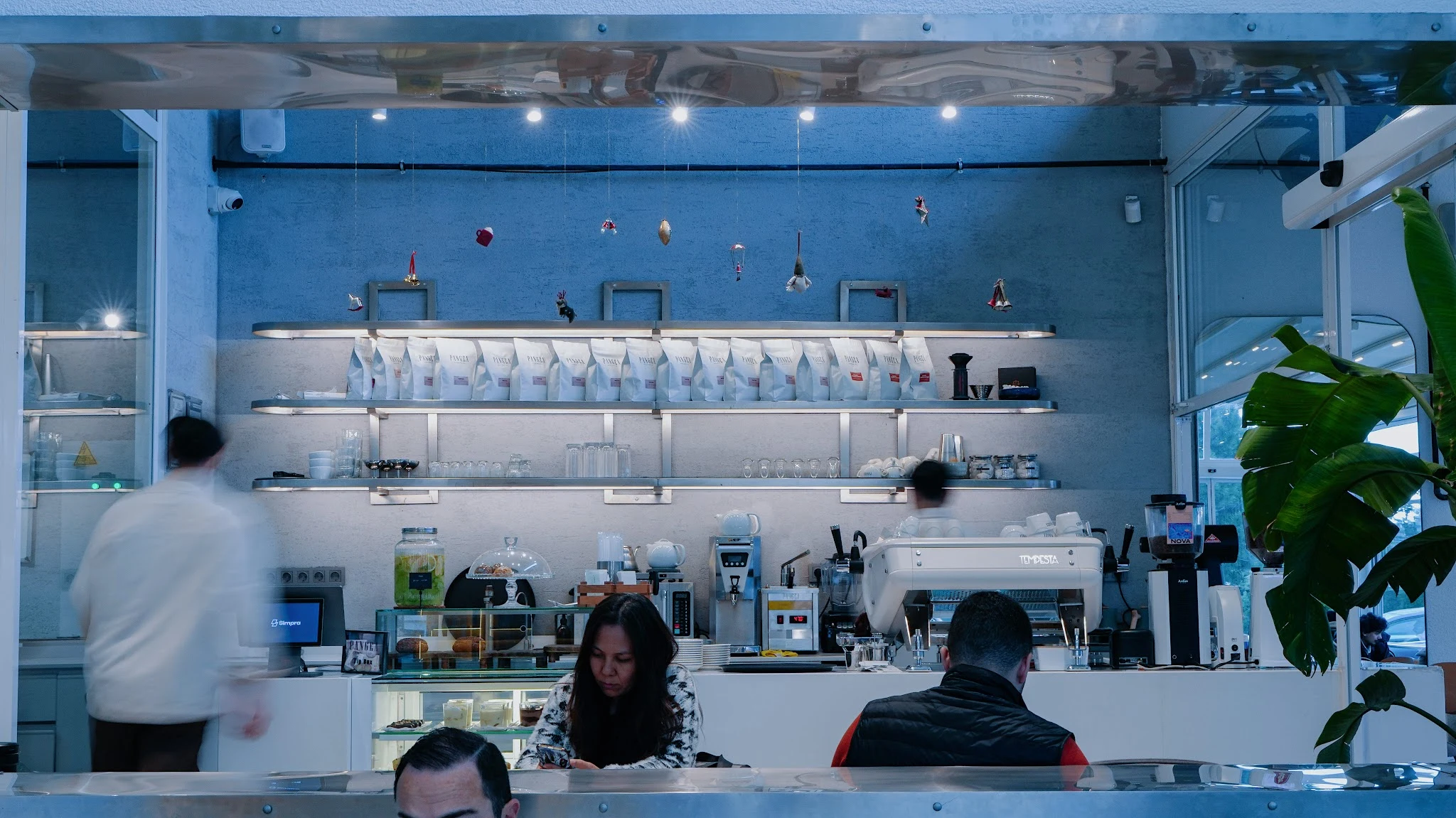 Pangea Roasting Co.