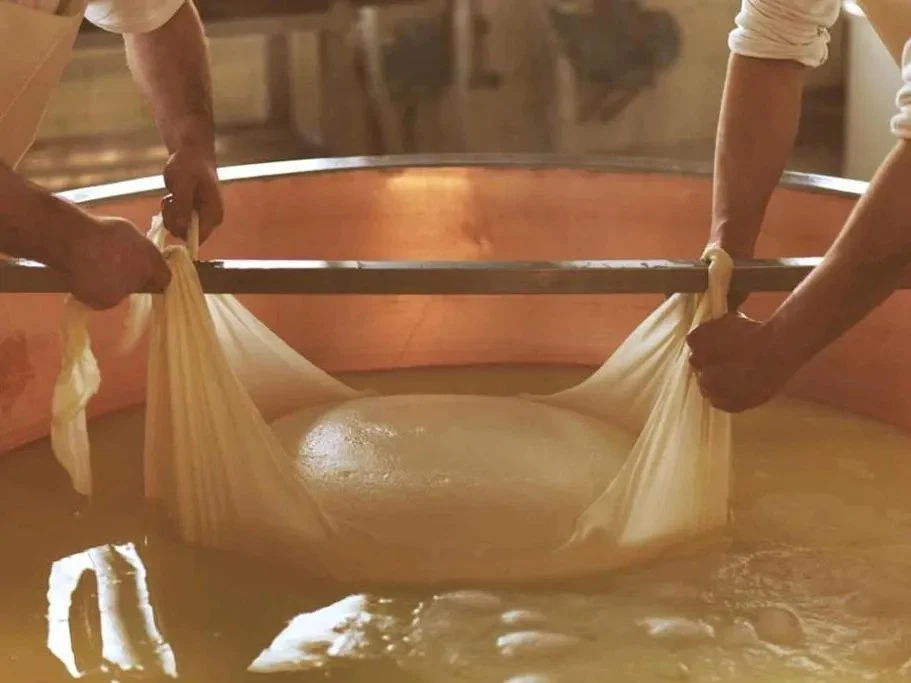 Two cheesemakers lift a large, round mass of cheese curd from a copper cauldron using a cloth and a metal rod, consistent with Parmigiano Reggiano