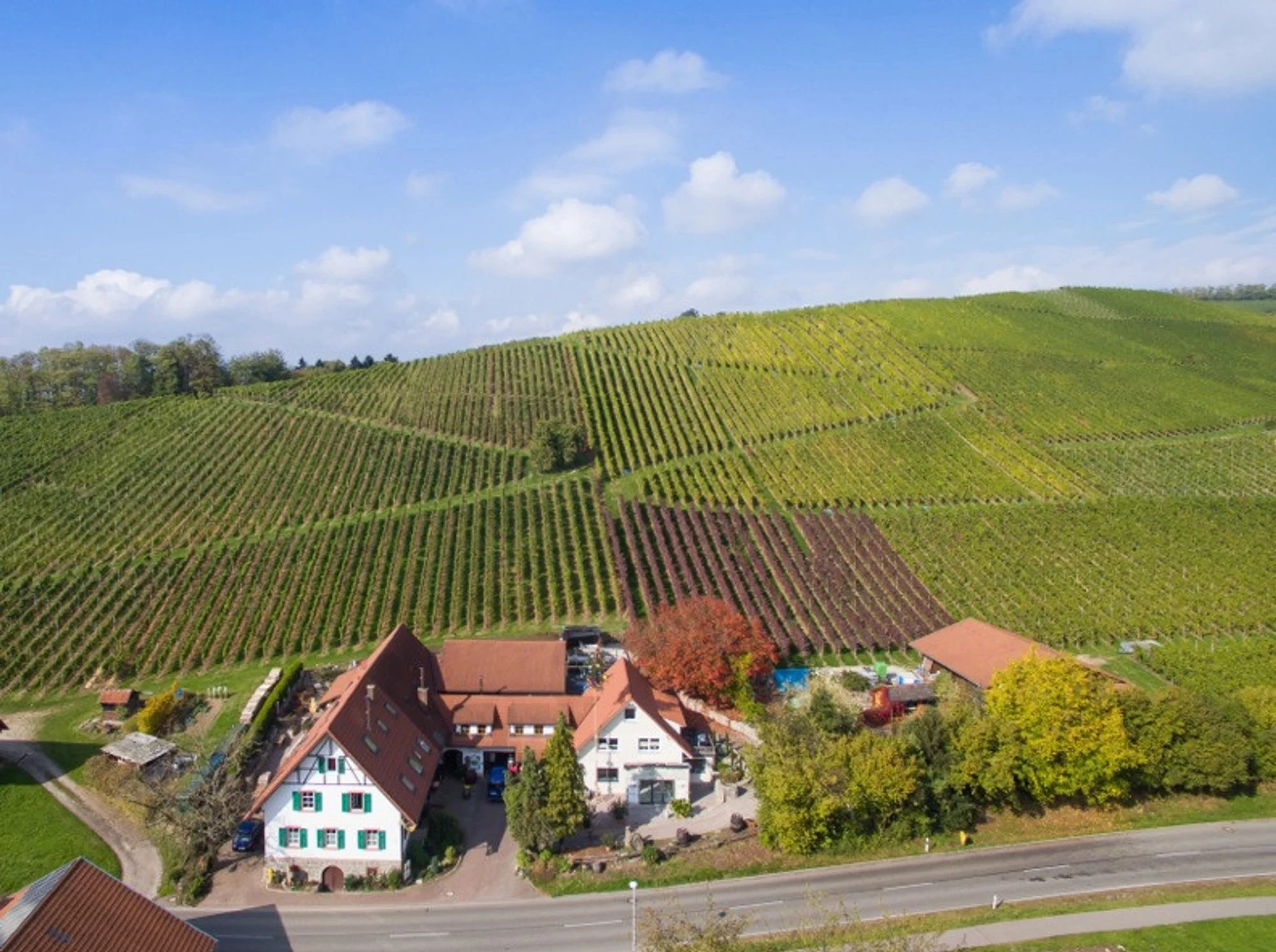 Weingut Börsig