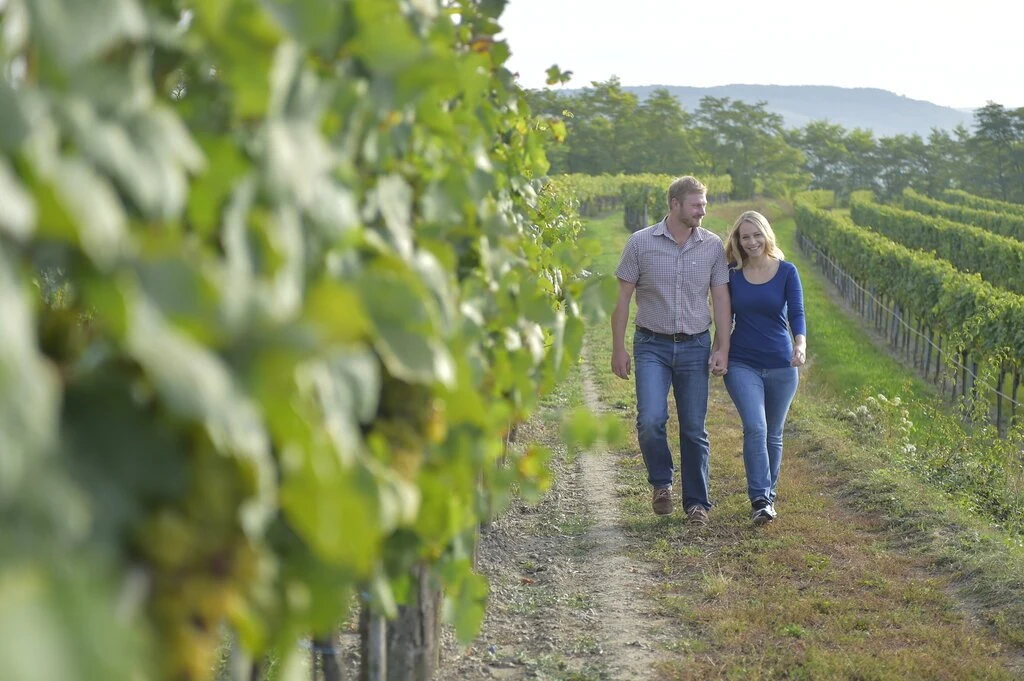 Bioweingut Familie Schnabl