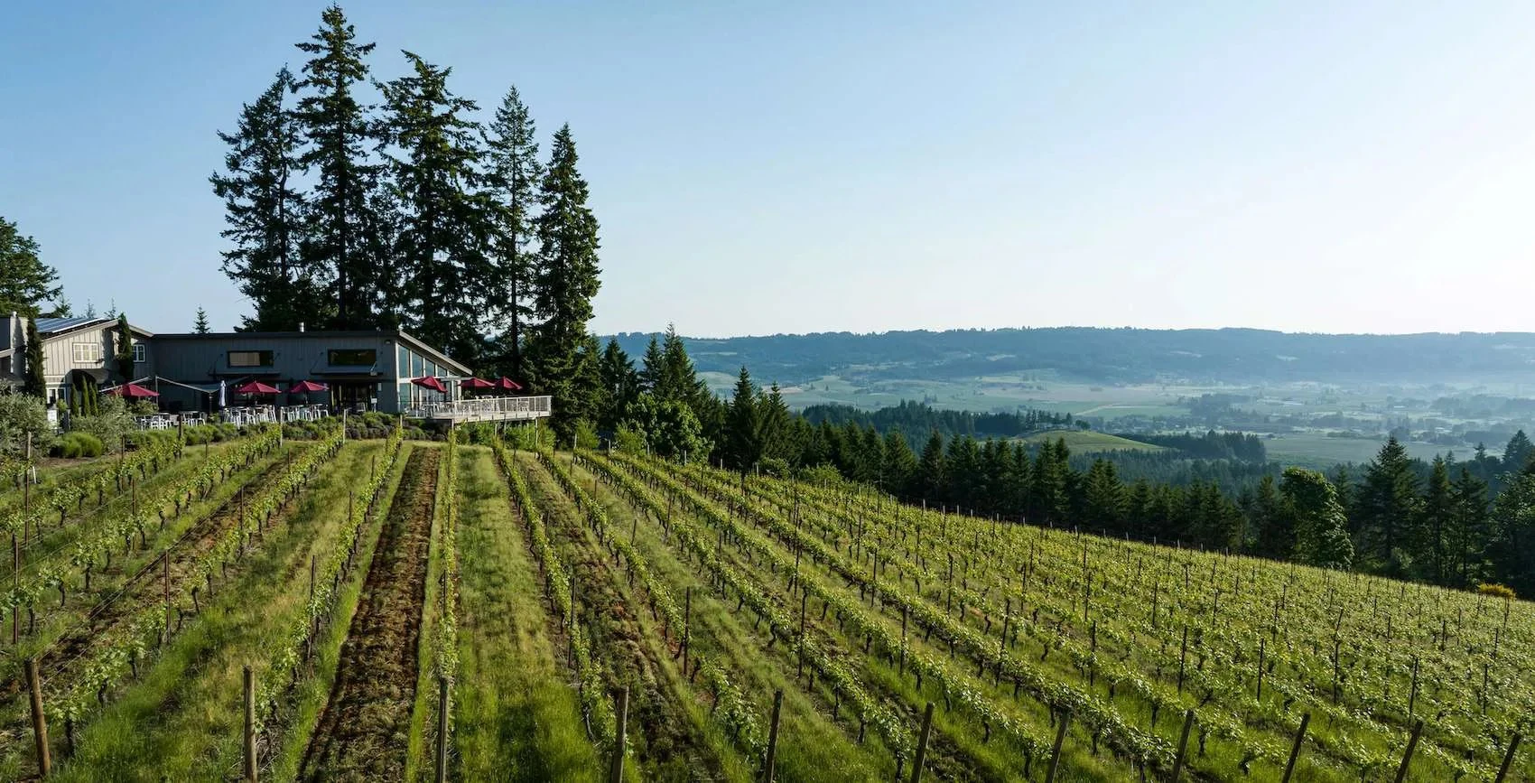 Lange Estate Winery