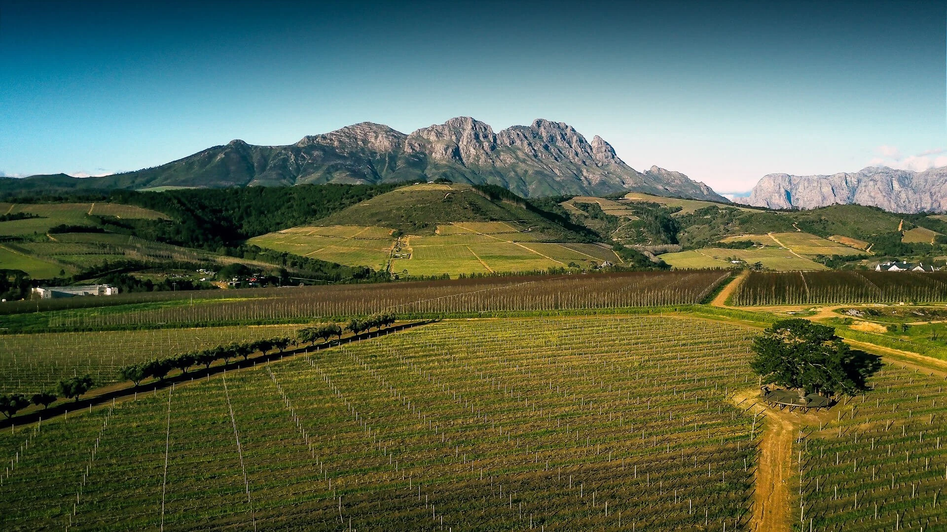 L’Avenir Wine Estate