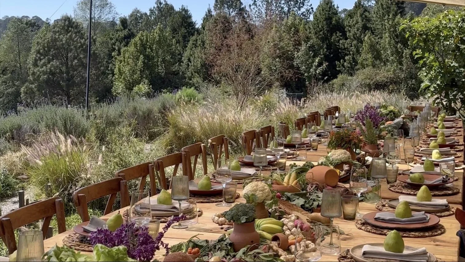 Alma Tierra produce producer, workshop, farm, or product