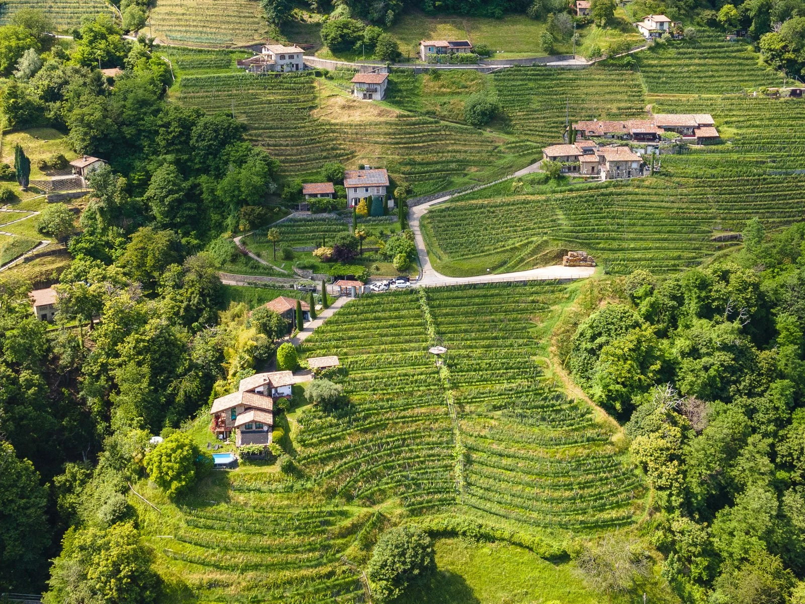 Cantina Monti