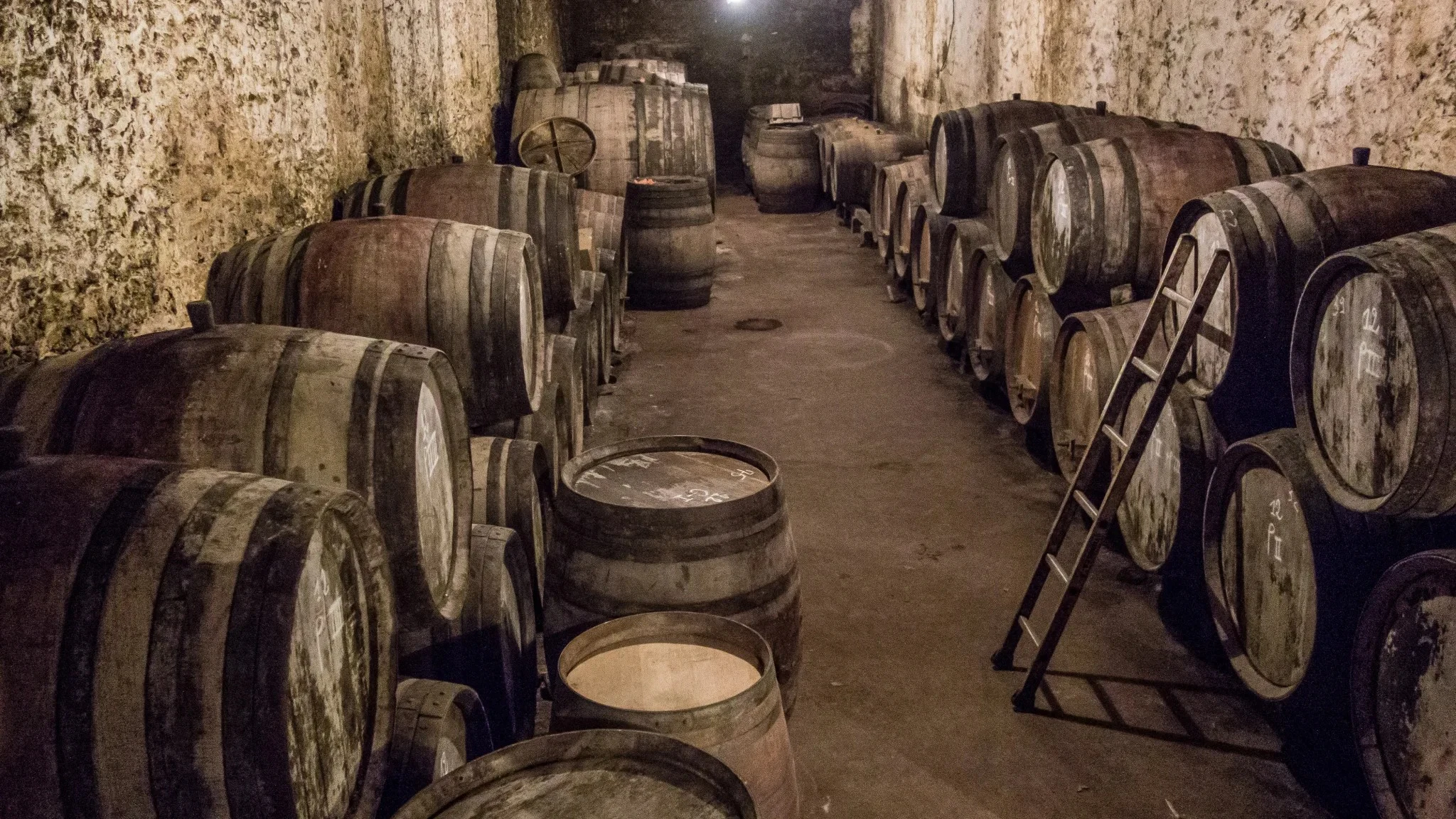 Château Rayas