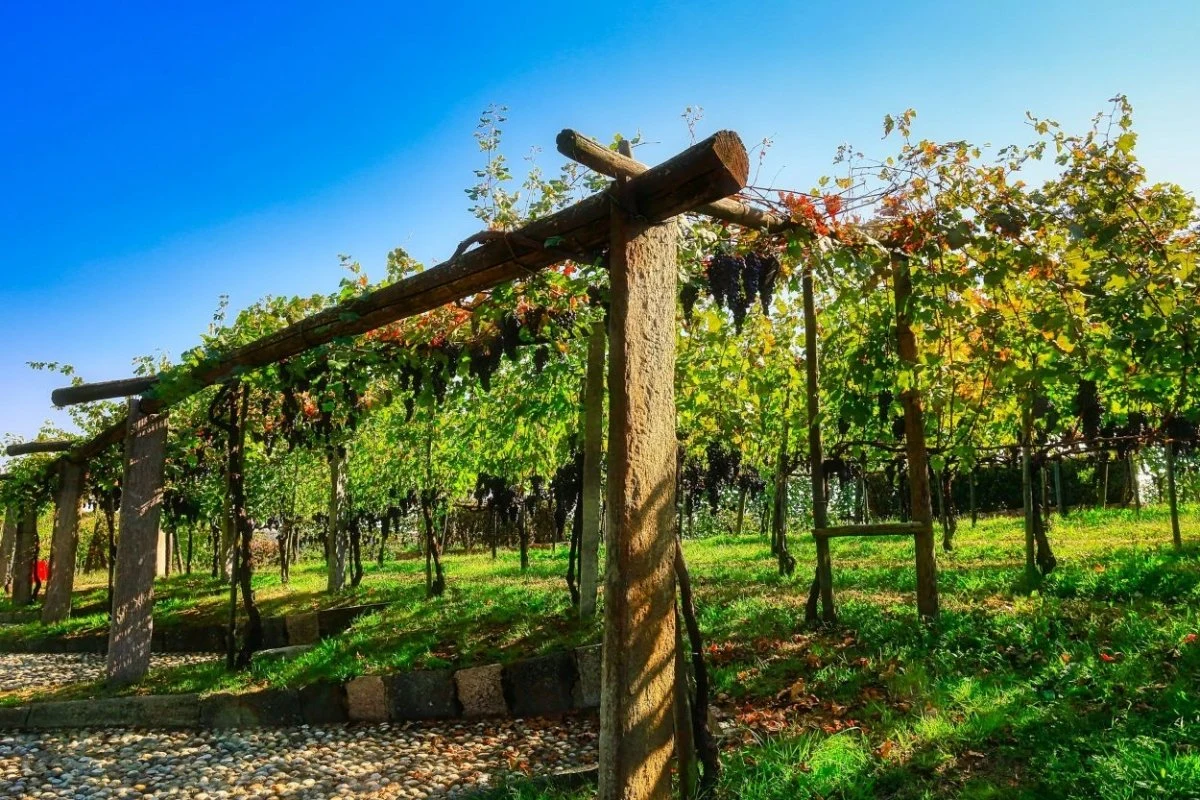 Podere ai Valloni