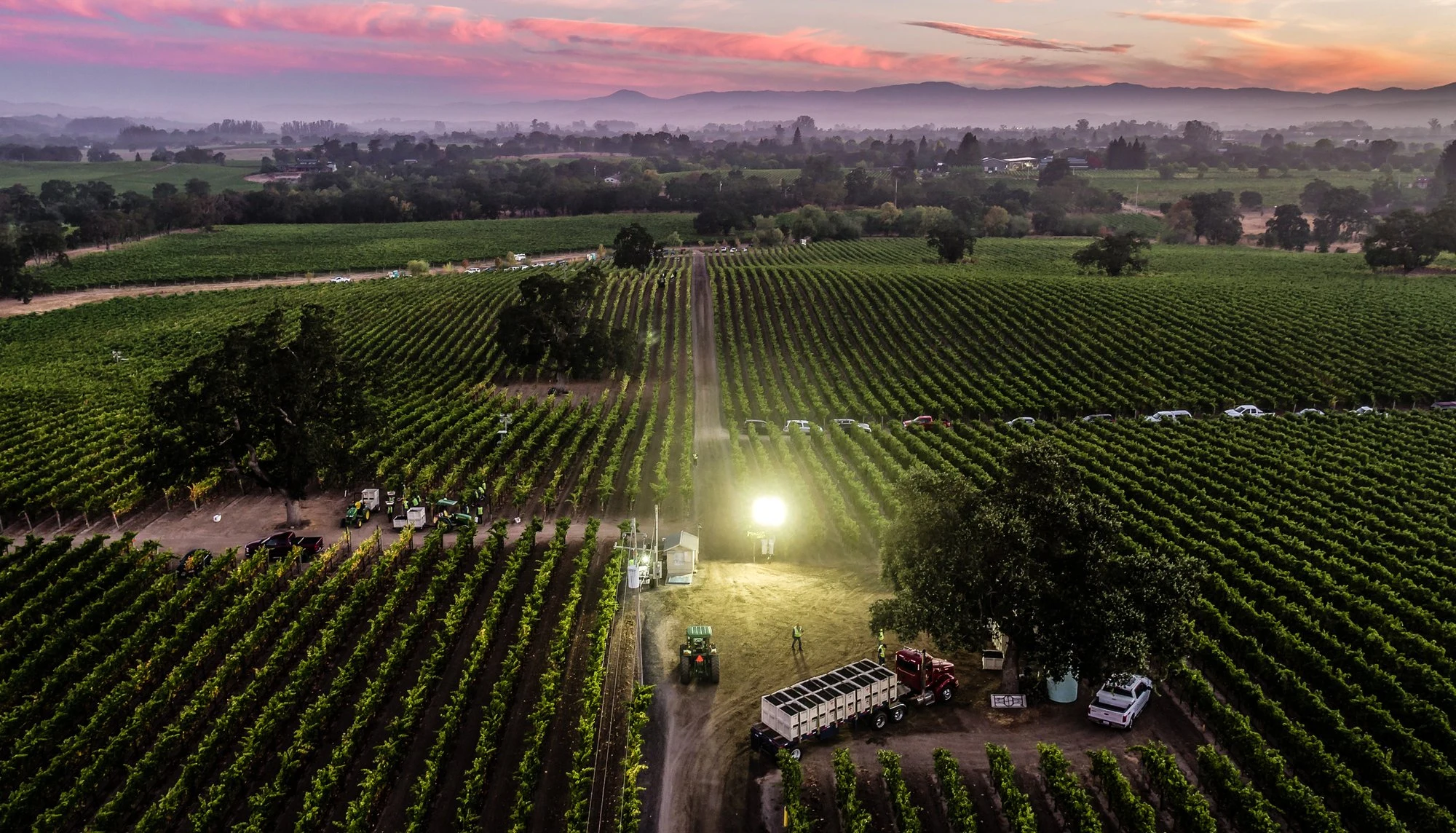 Balletto Vineyards