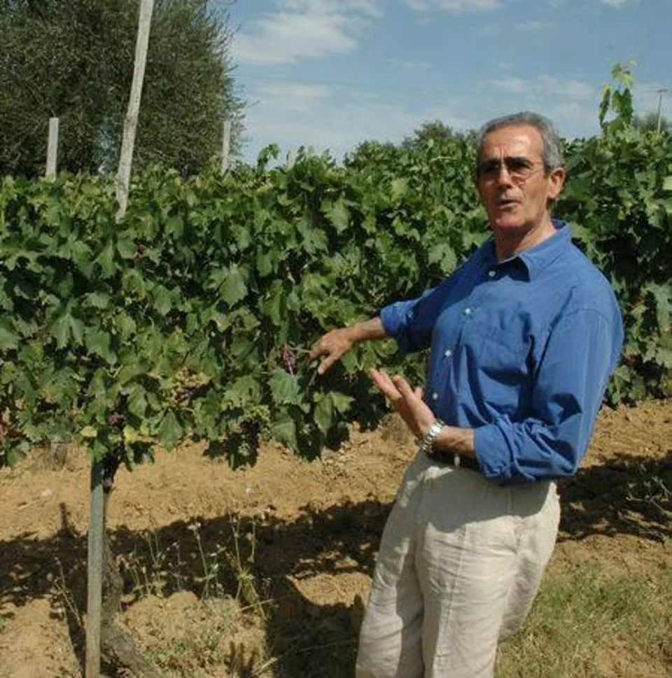 Florio Guerrini