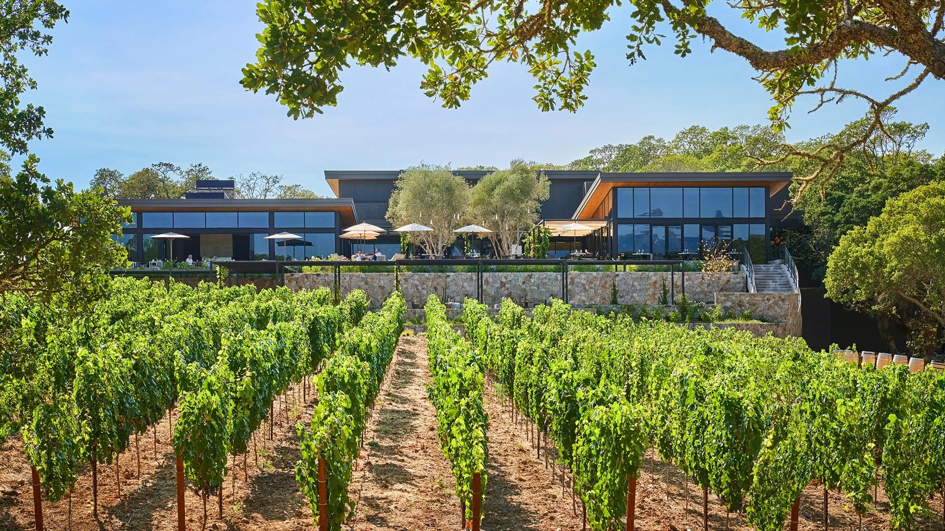 Angels & Cowboys Wines