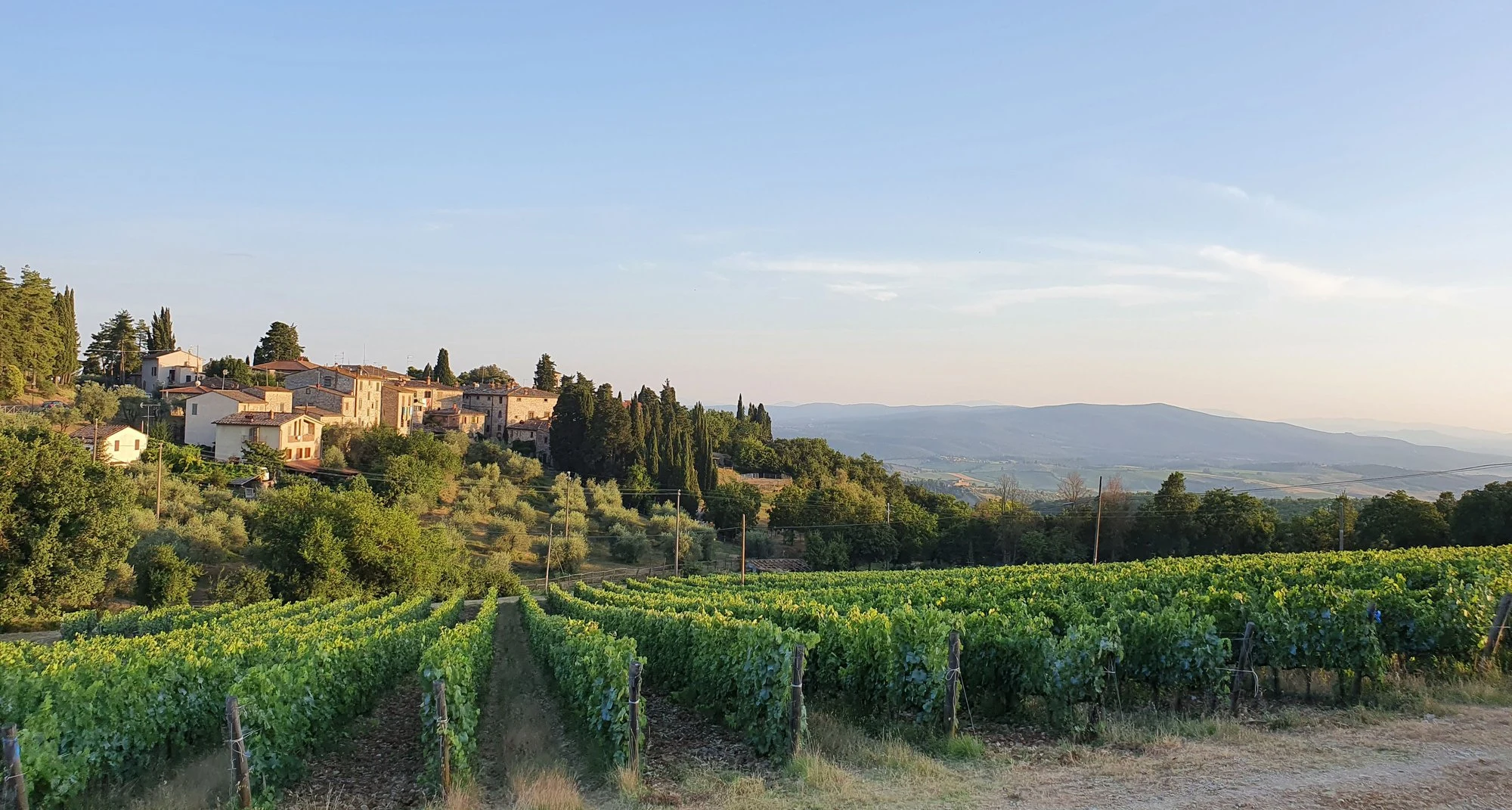 Castello di Fonterutoli