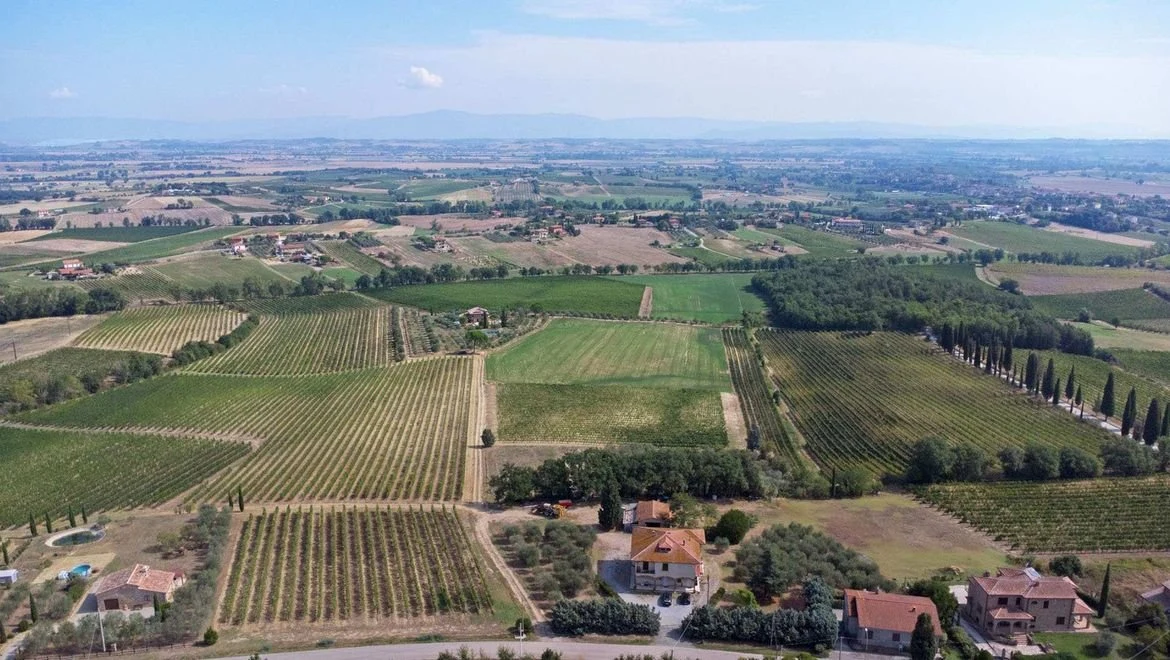 Azienda Casale Daviddi