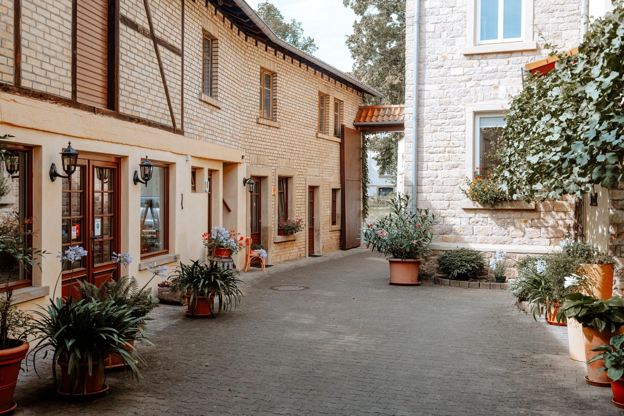 Weingut Zimmermann