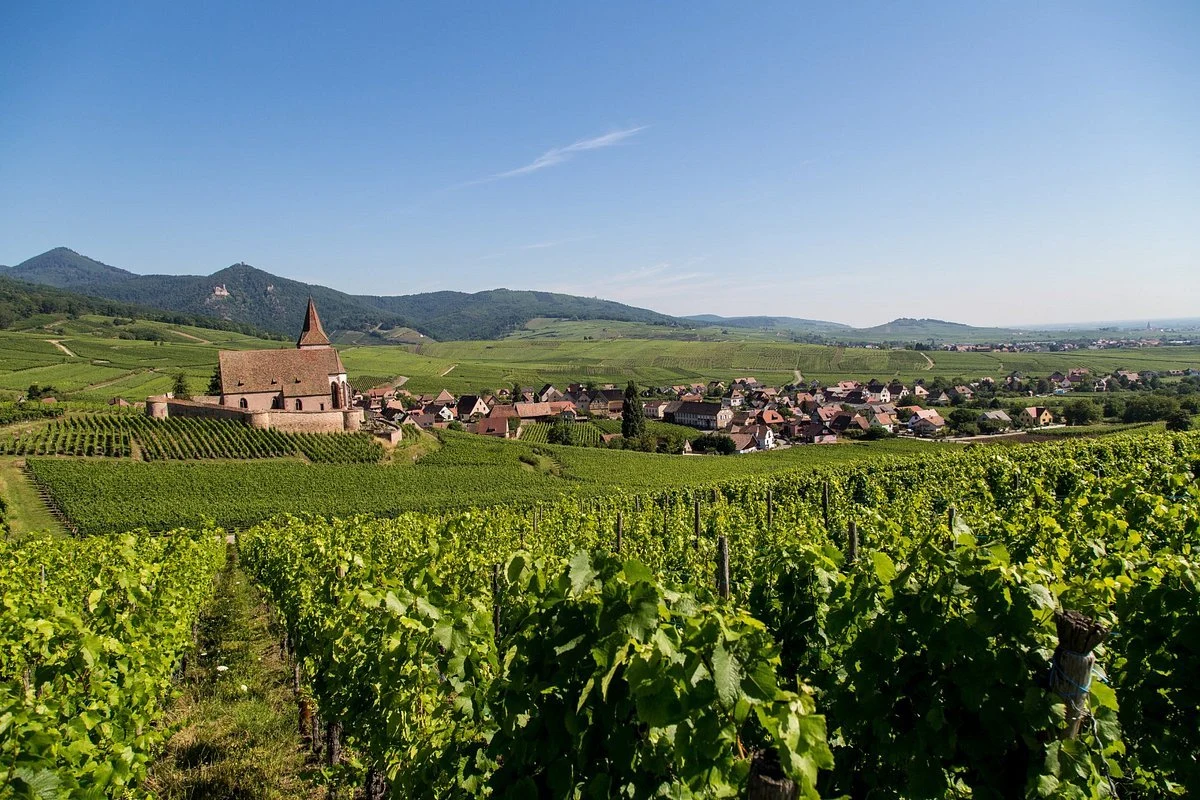 Cave Vinicole de Hunawihr