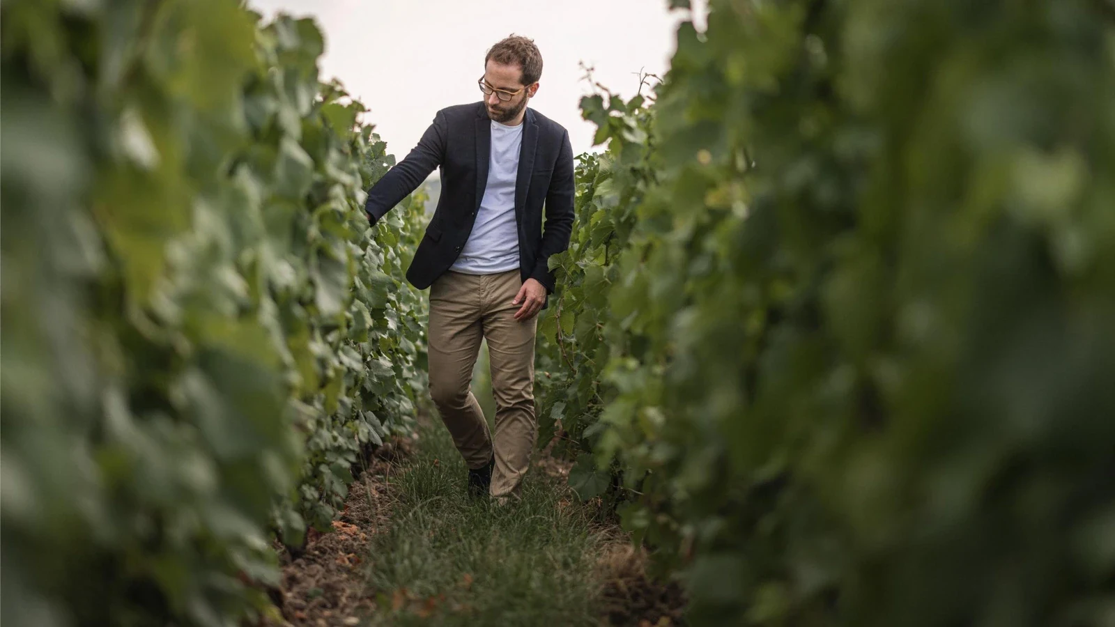 Bollinger Cellar Master: Émilien Boutillat Named for 2026
