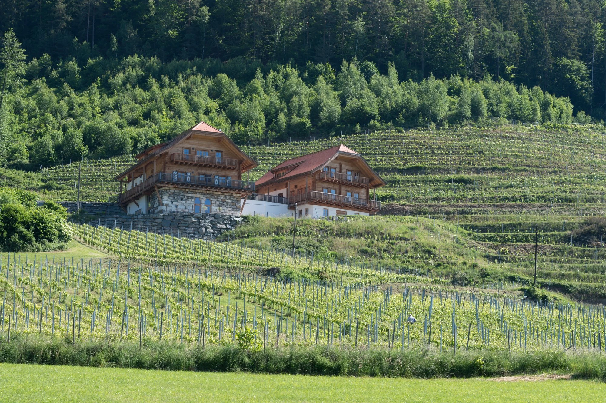Weingut Karnburg