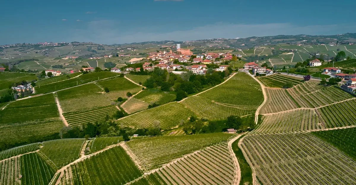 Boroli