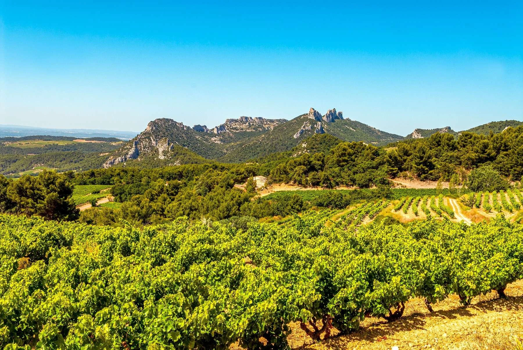 Domaine Loew