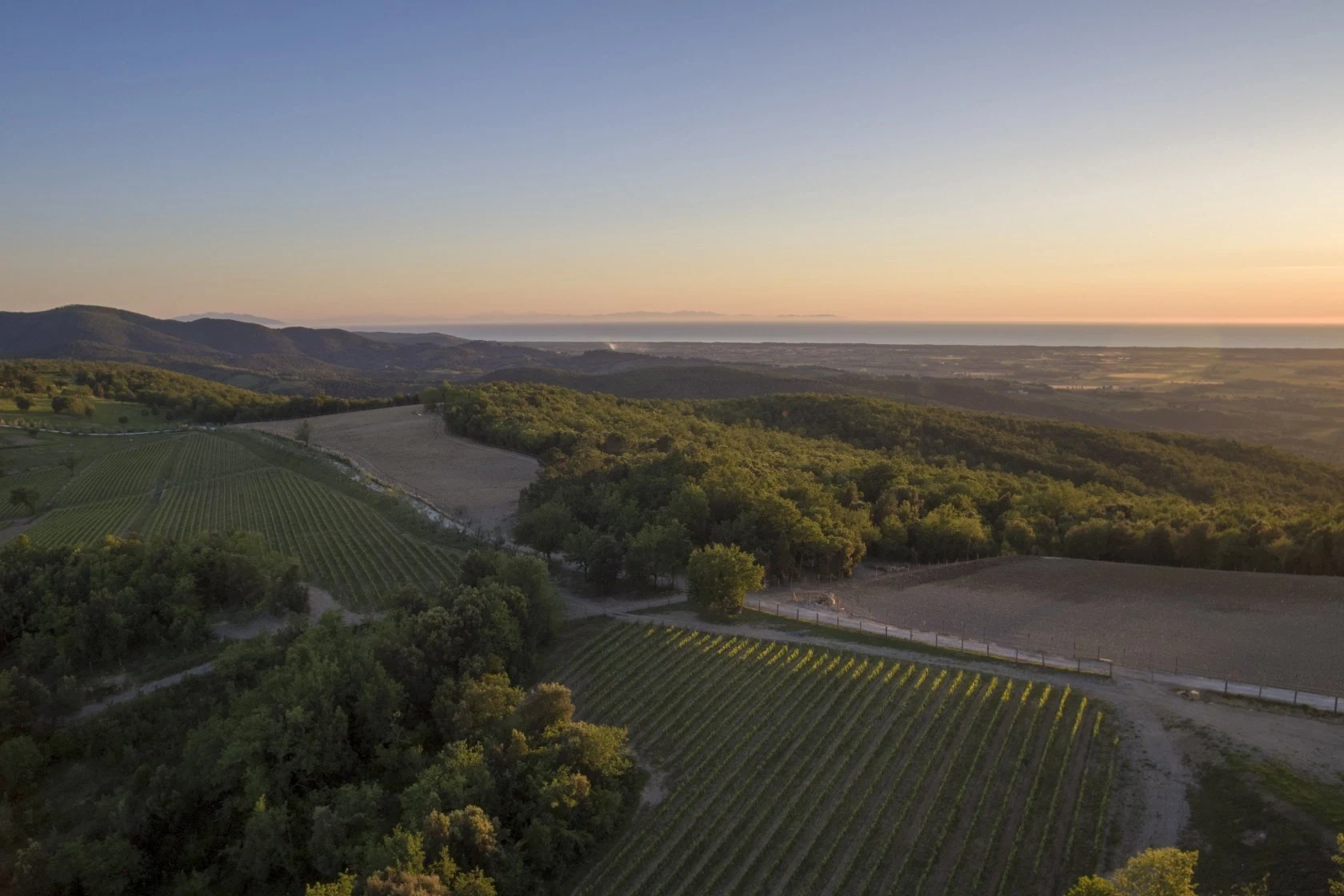 Tenuta Sette Cieli