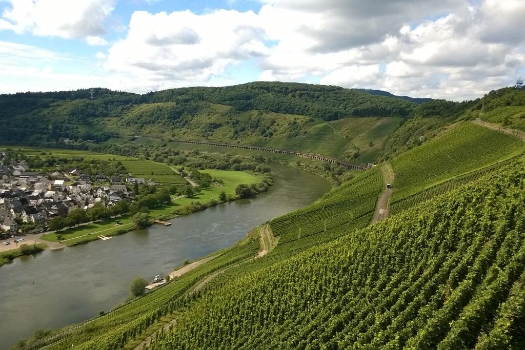 Wein- und Wohngut Paulushof