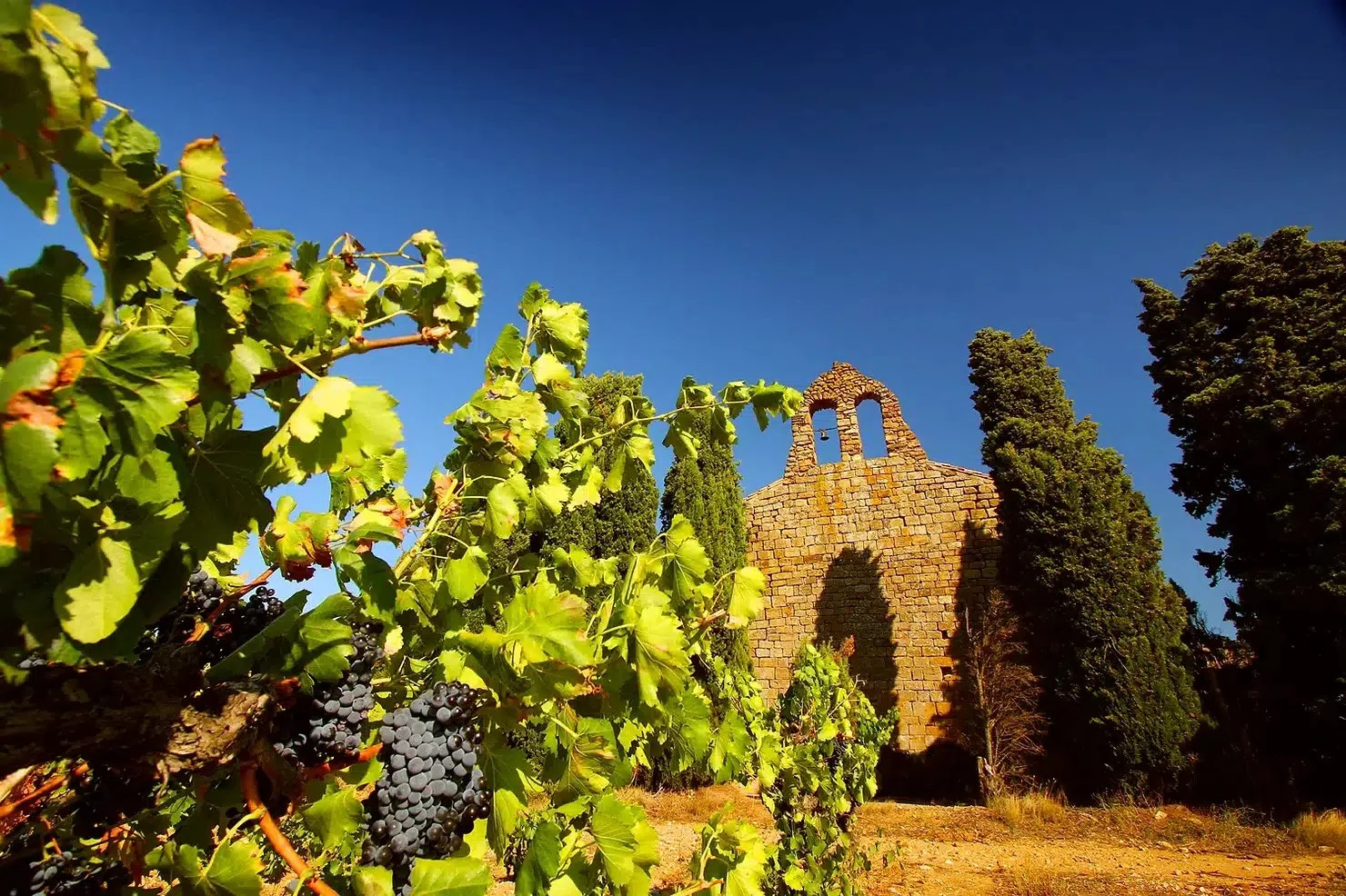 Château Fabre Gasparets – Famille Fabre