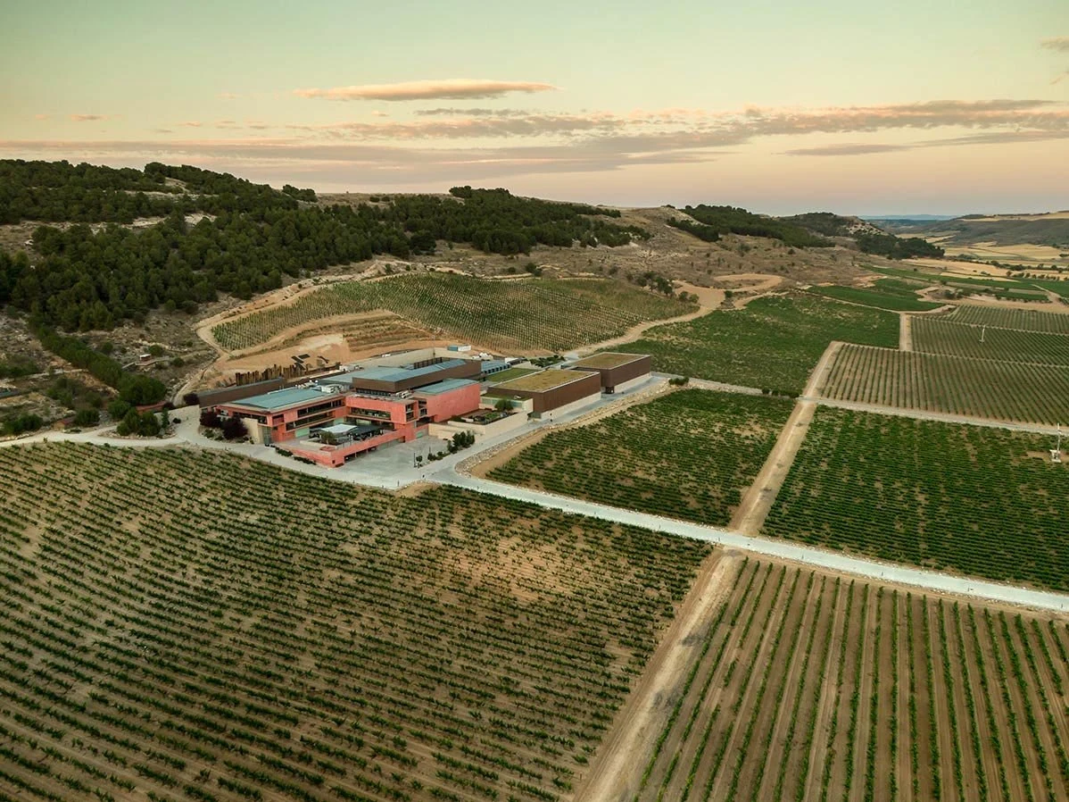 Alma del Campo