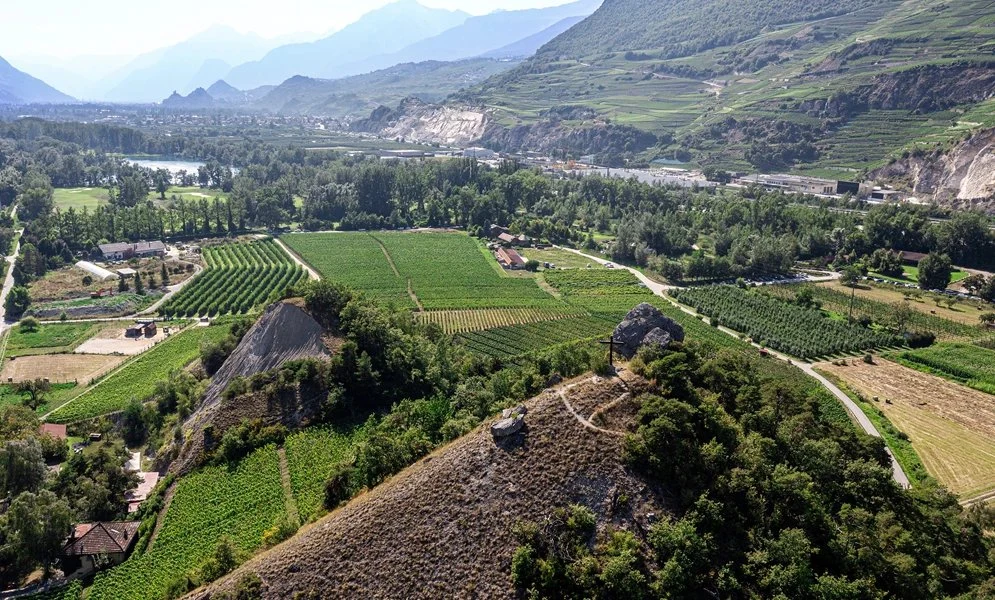 Domaine des Muses