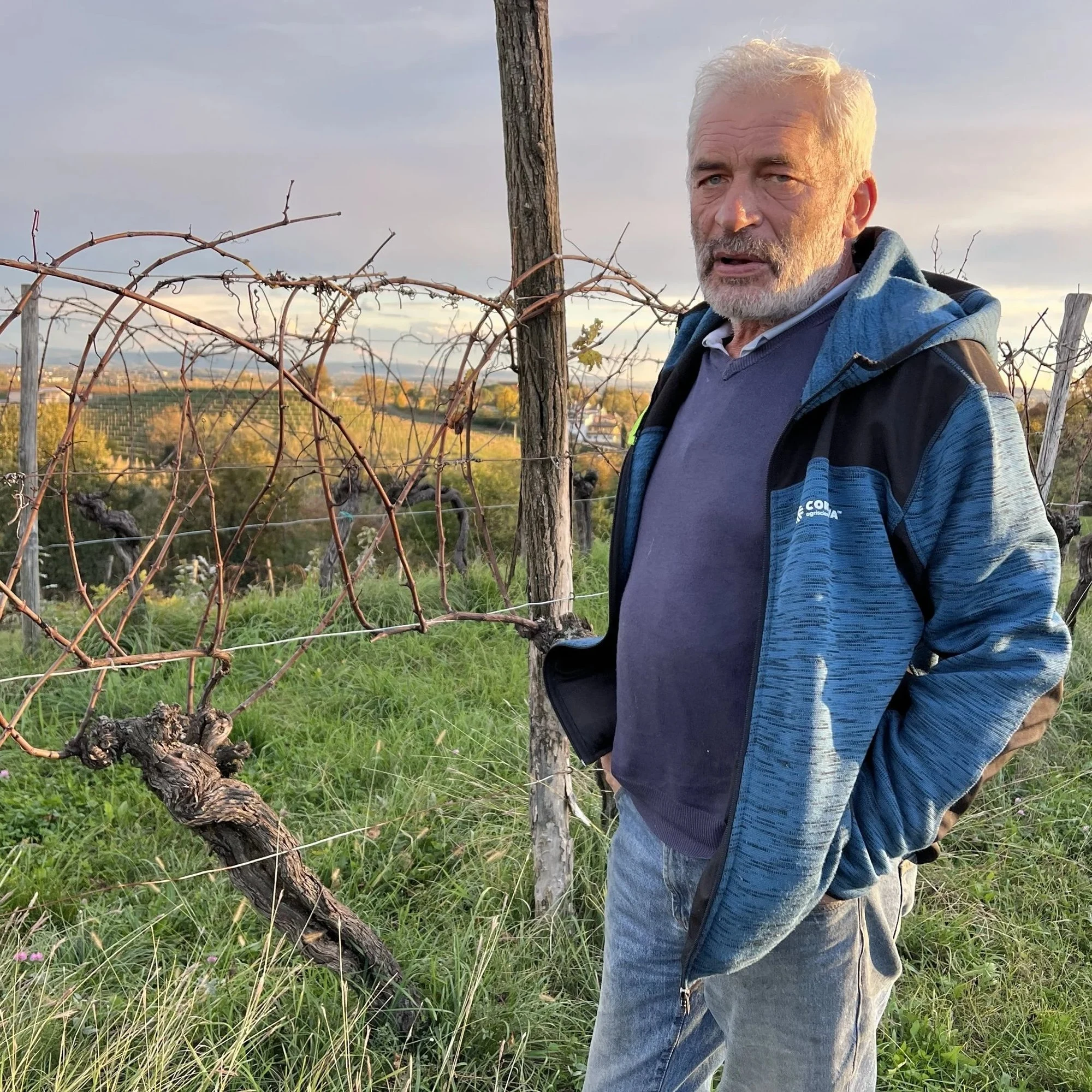 Azienda Agricola Miani