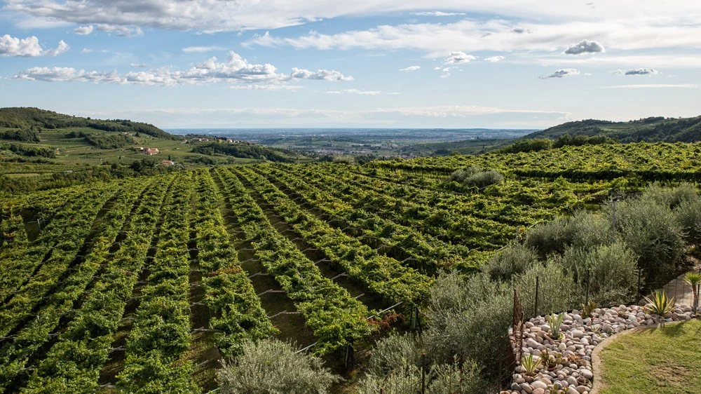 Azienda Agricola Novaia