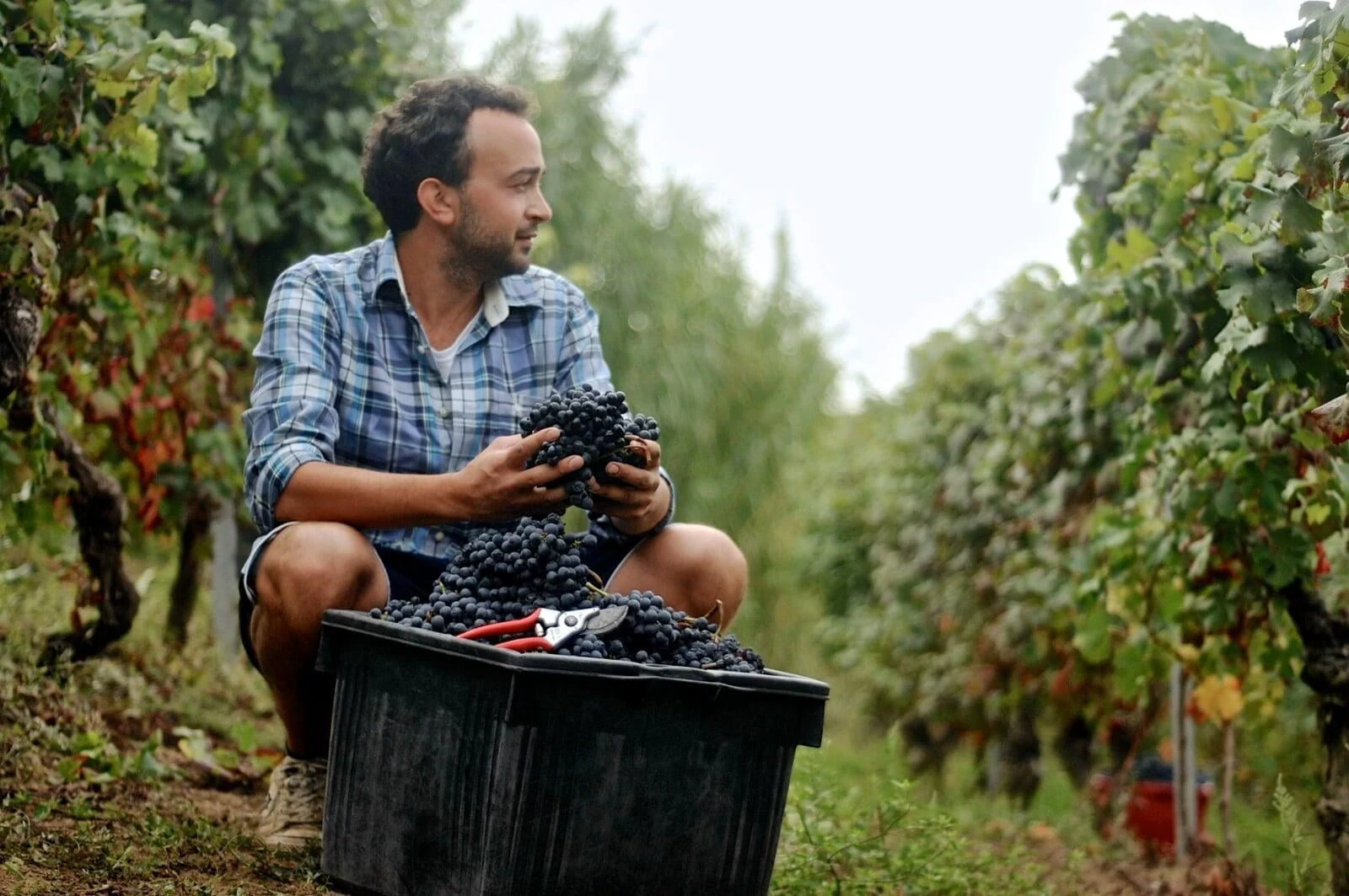 Emilio Vada