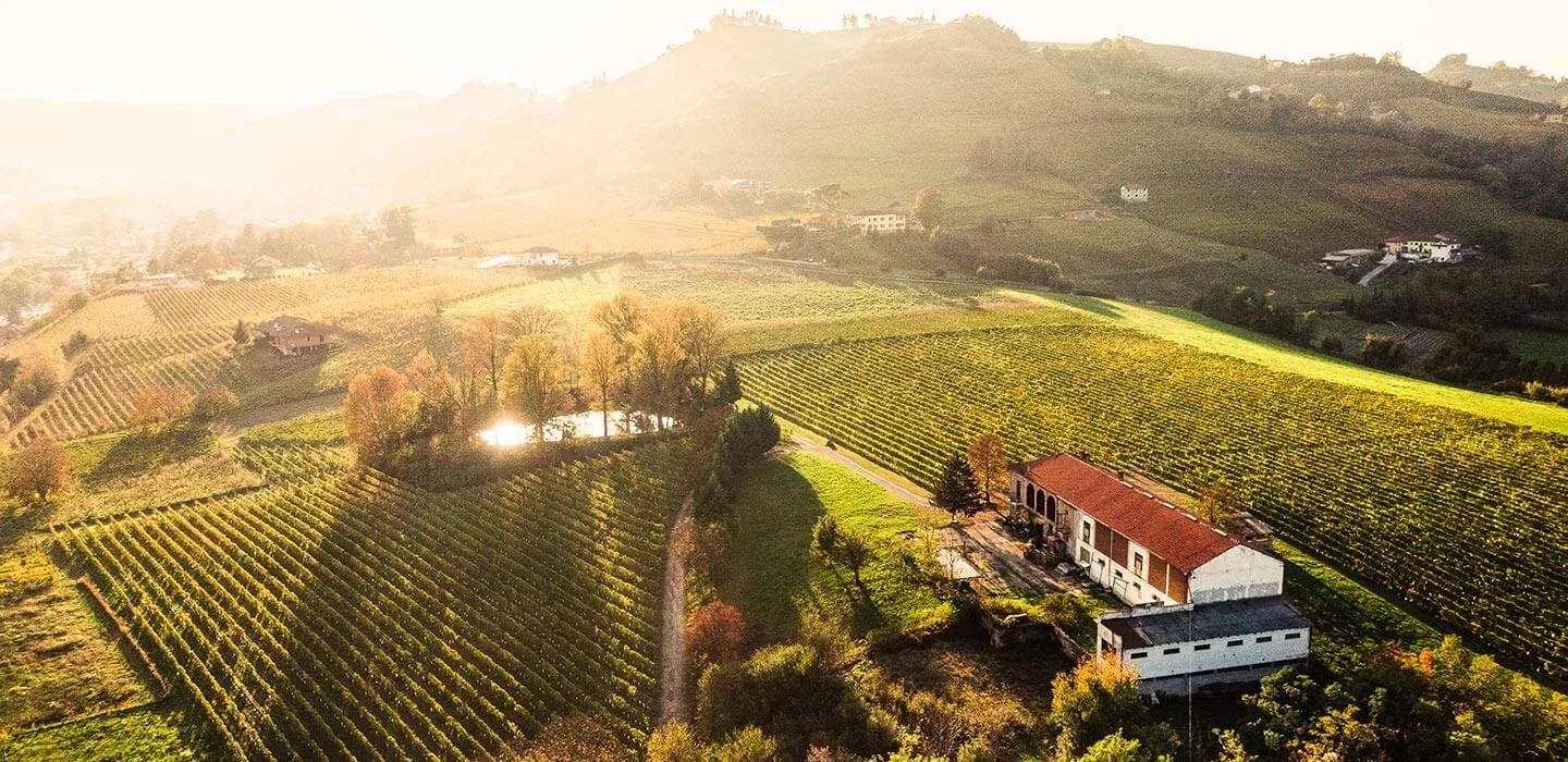 Casa Vinicola Abbazia di San Gaudenzio