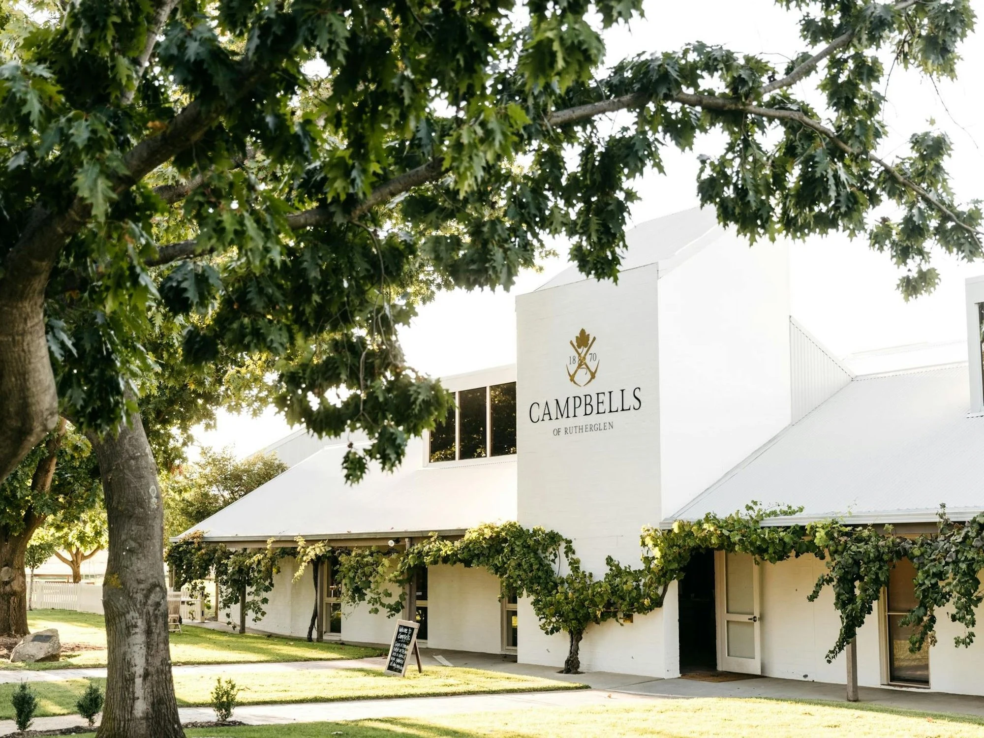 Campbells Wines