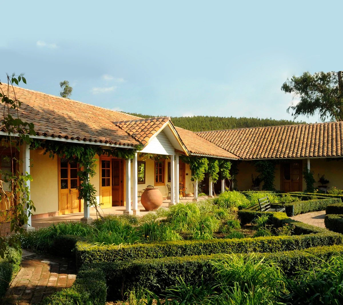Matetic Vineyards