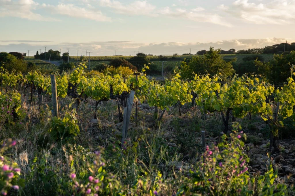 Domaine L'or de Line