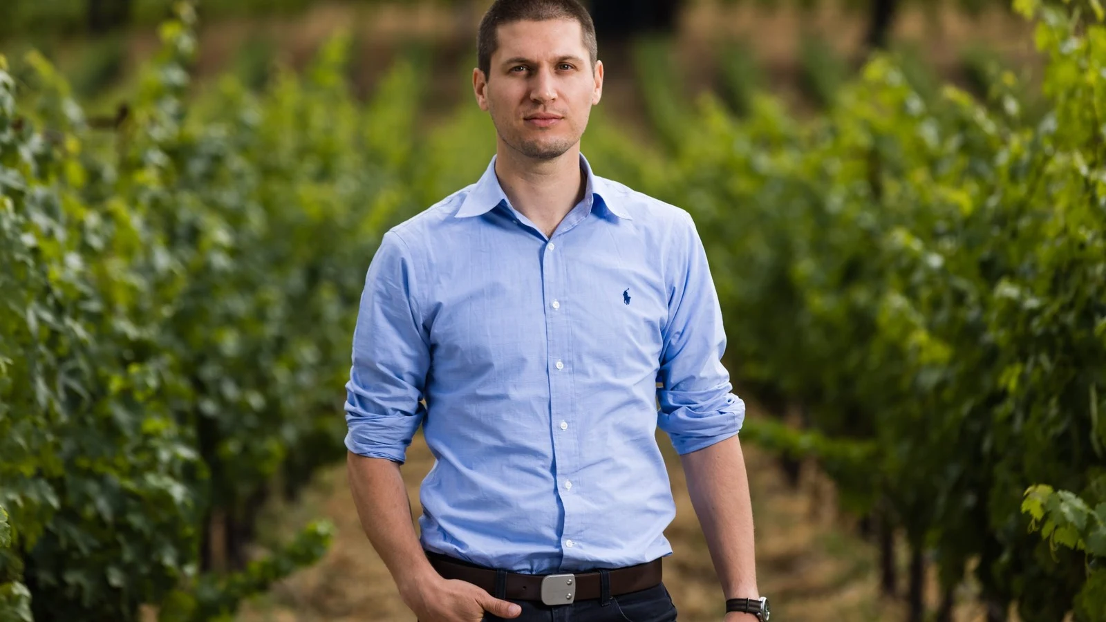 Winemaker Matt Crafton of Chateau Montelena's Long Game