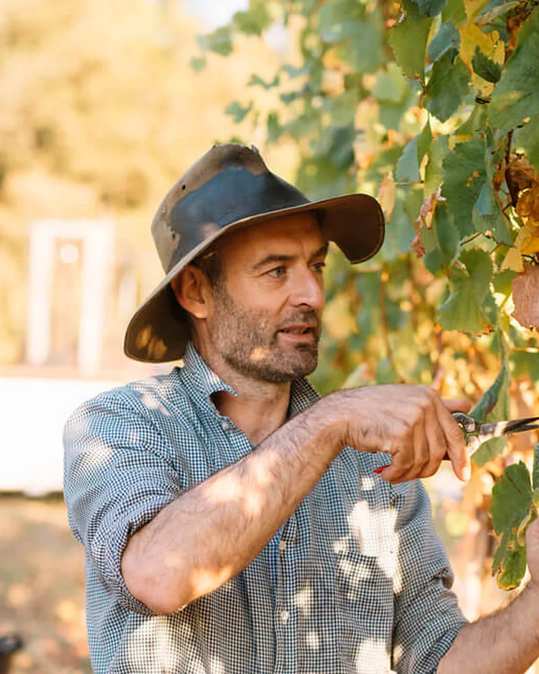 Portrait of Andrew Marks