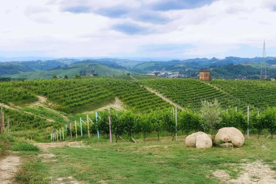 Azienda Vitivinicola Cascina Casanova