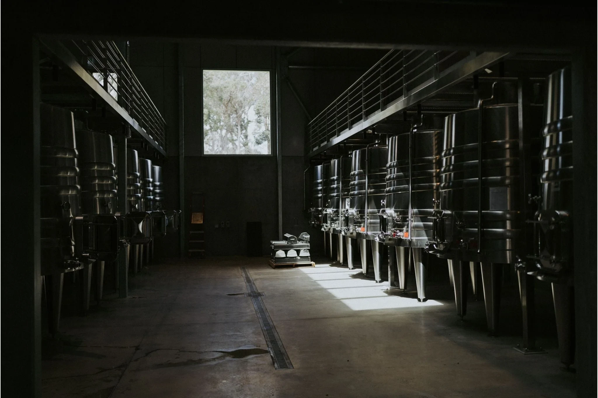 Booking Wayfinder Wines: August Opening Details reveals rows of gleaming stainless steel tanks.