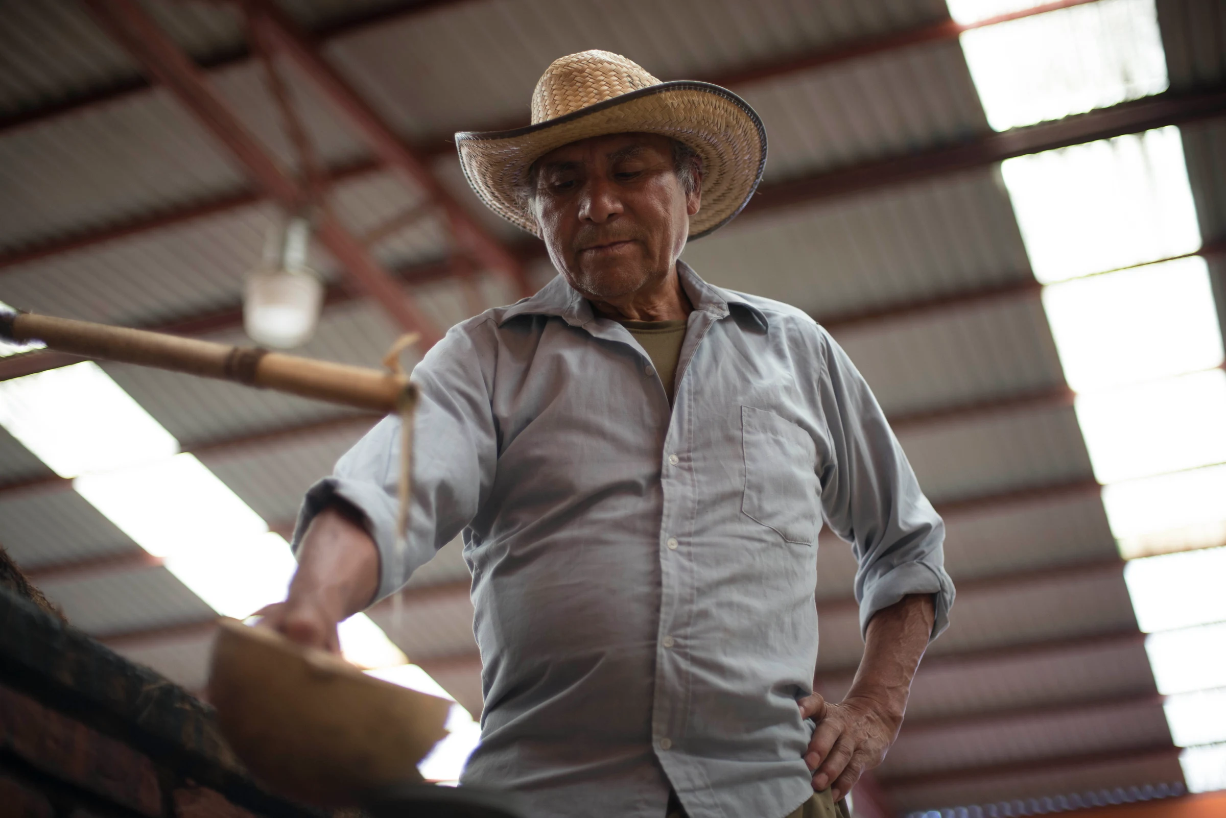 Don Amado (Arellanes family)